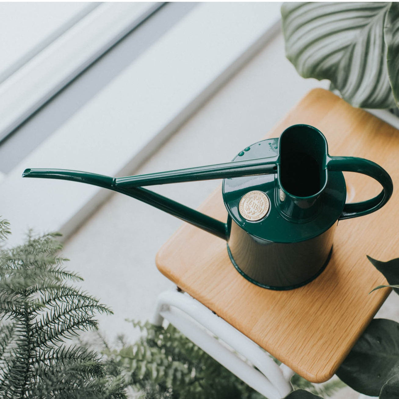 Haws Watering cans -Nutscene