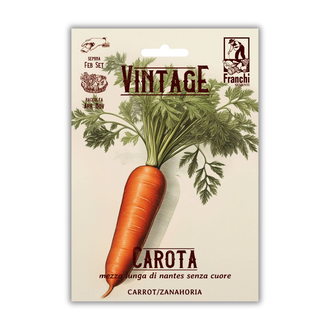 Vintage Franchi Seeds