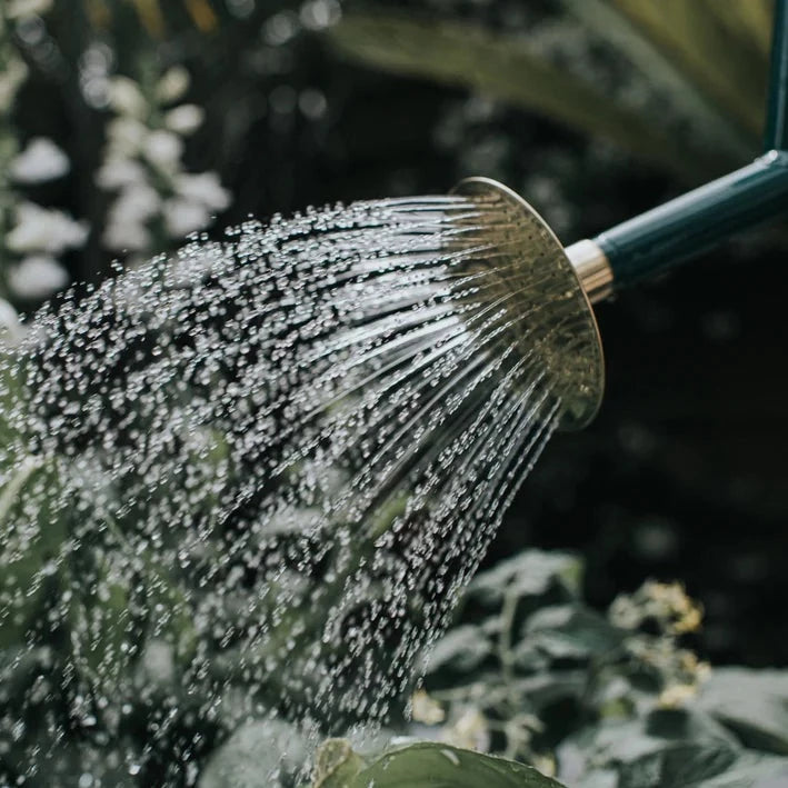 Haws Metal watering Cans