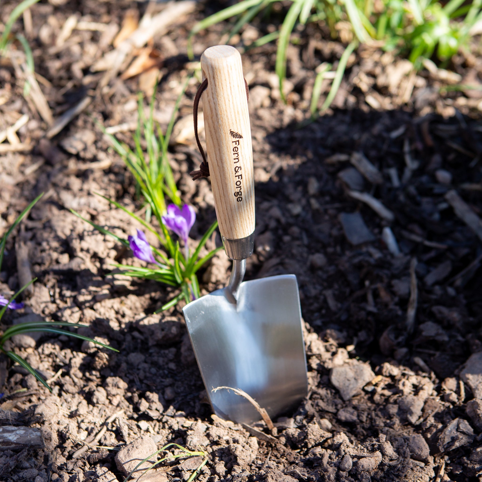 Fern & Forge Garden Tool Set – Special Offer