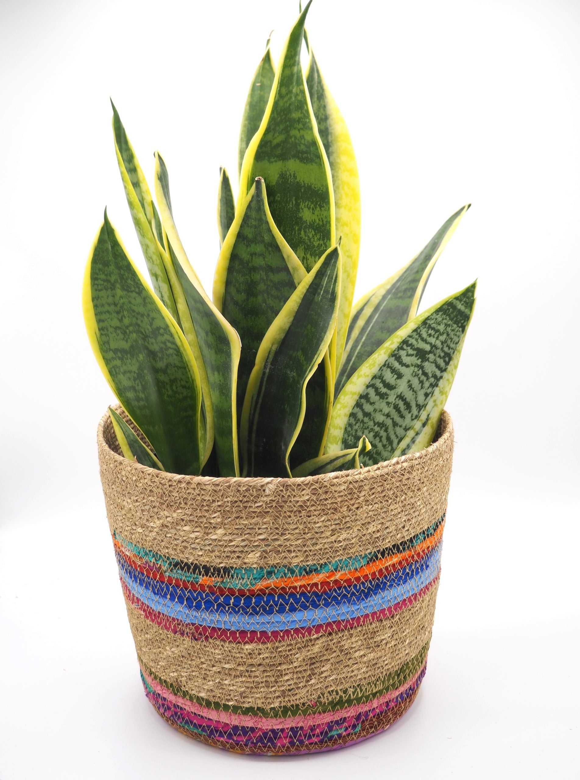 Munja And Reclaimed Fabric Eco Planter With Removable Metal Liner – Set Of 3