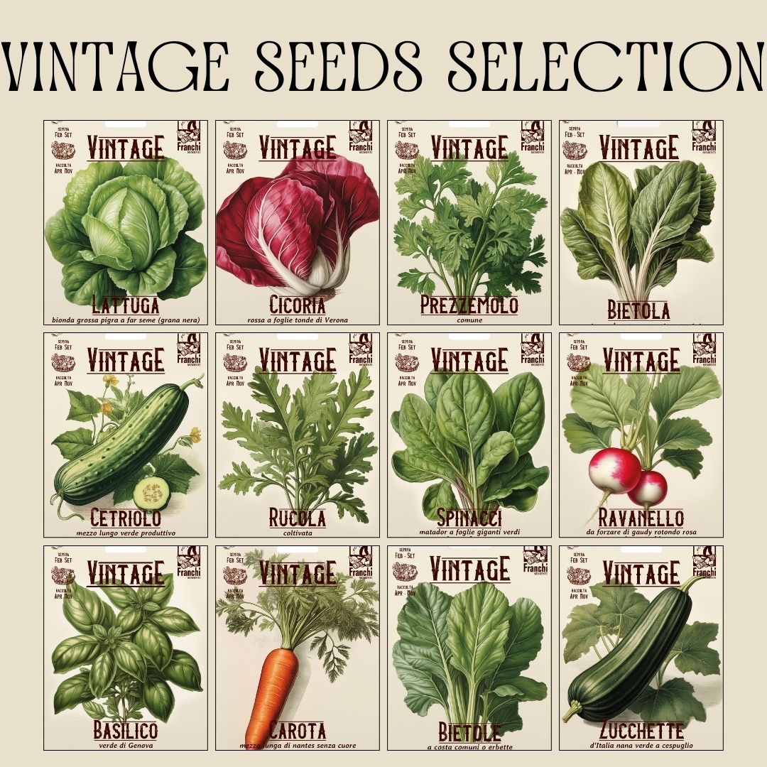 Vintage Franchi Seeds