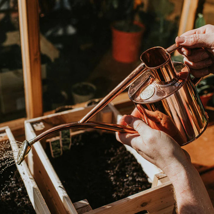 copper watering can for indoor plants Haws® Indoor Vintage Watering Can