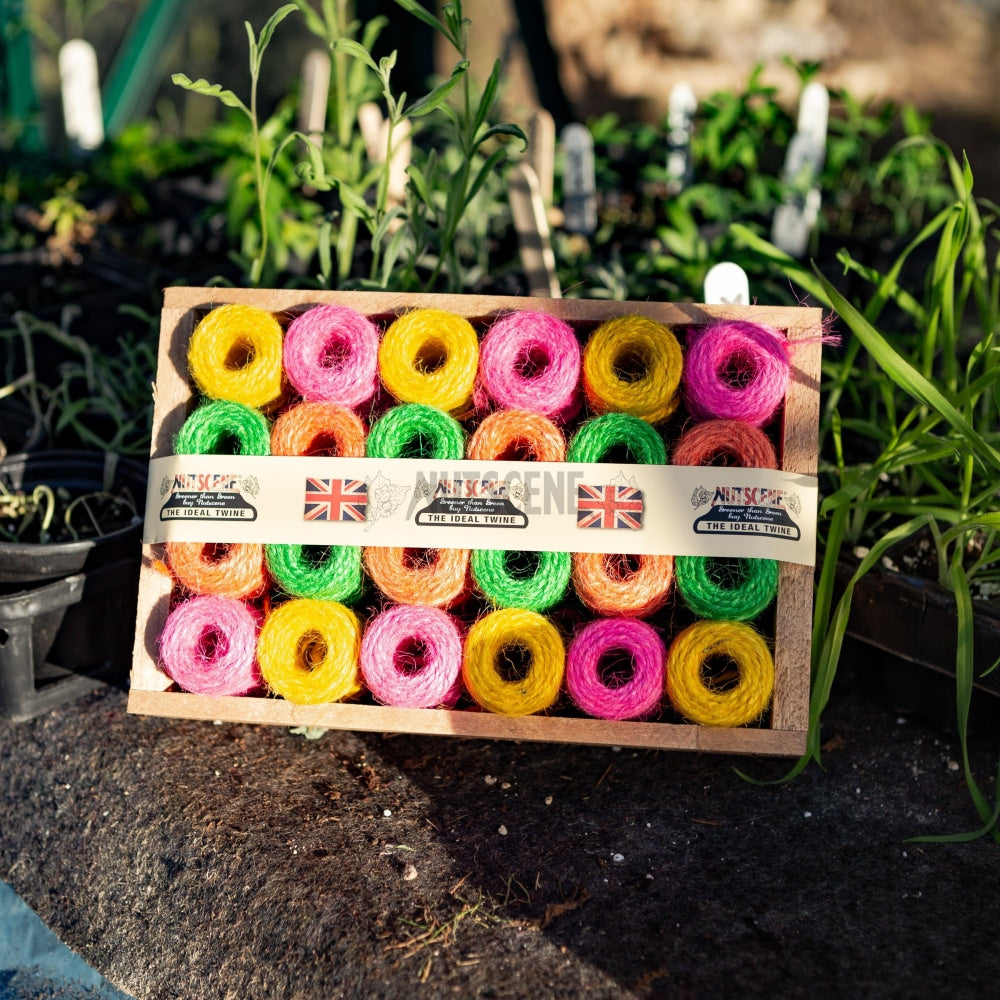 Crate Of Fabulous Neon Mini Spools - Nutscene Twine