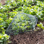 Garden Cloche