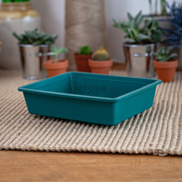 Reusable Mini Seed Trays Nutscene