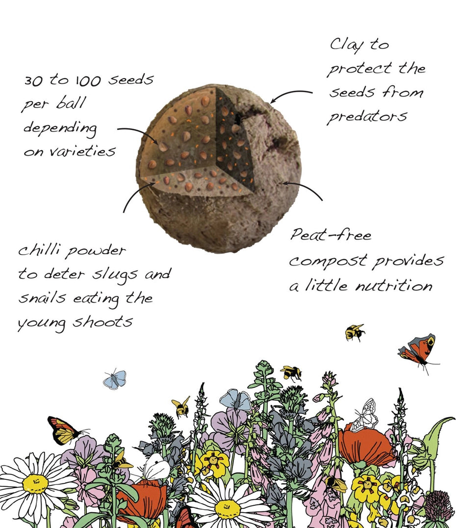 Seedball Wildflower Grab Bags - Bee Mix
