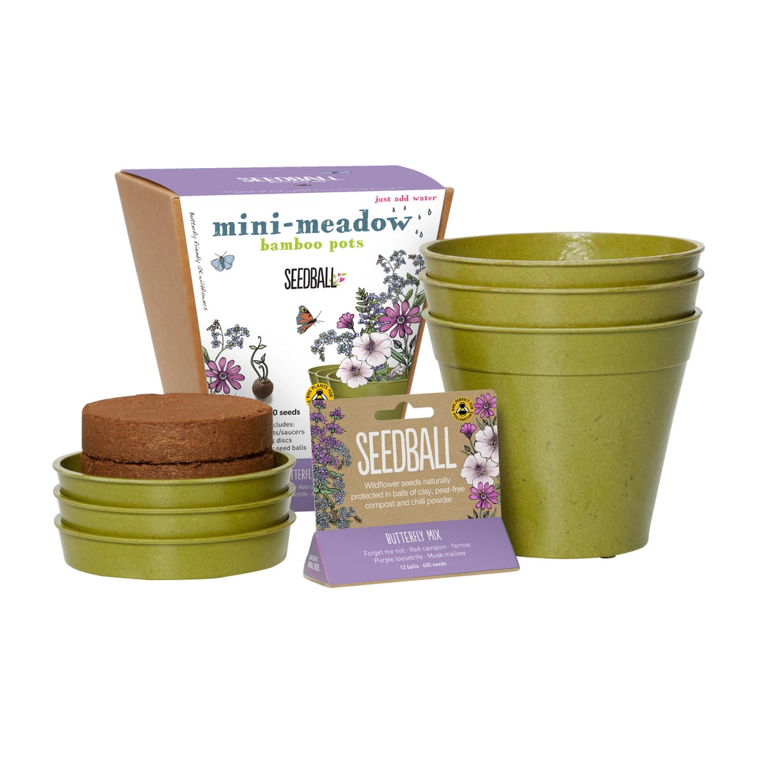 Seedball Meadow Pots - Butterfly Mix
