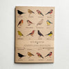 Garden Bird Notebook