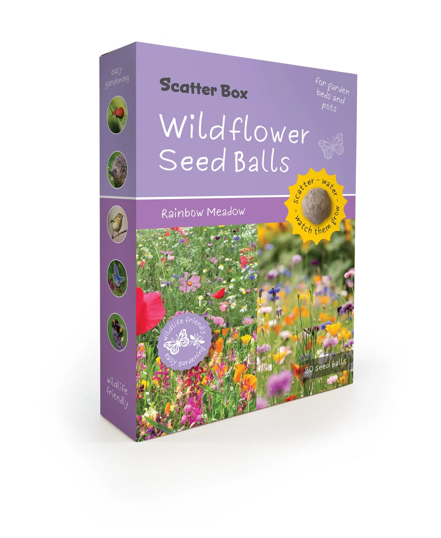 Seedball Scatter Box