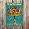 Grow Through What You Go Through Metal Sign