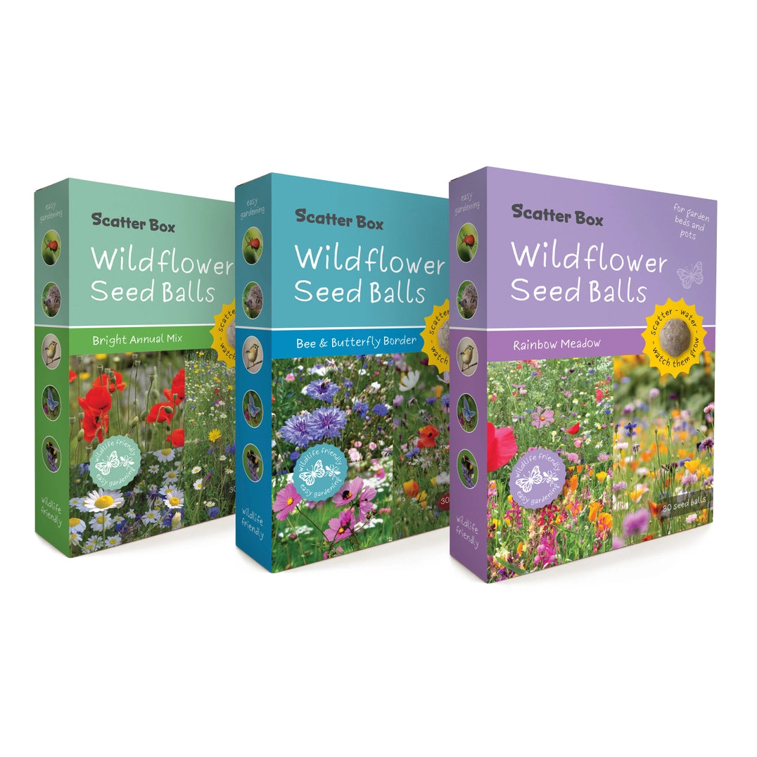 Seedball Scatter Box