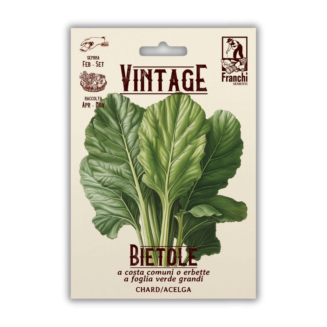 Vintage Franchi Seeds