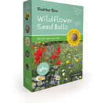 Seedball Scatter Box