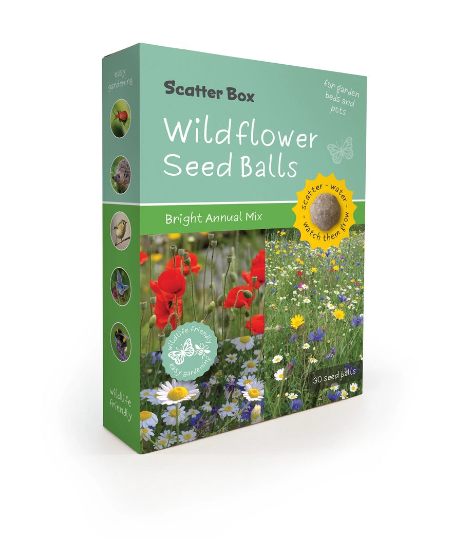 Seedball Scatter Box