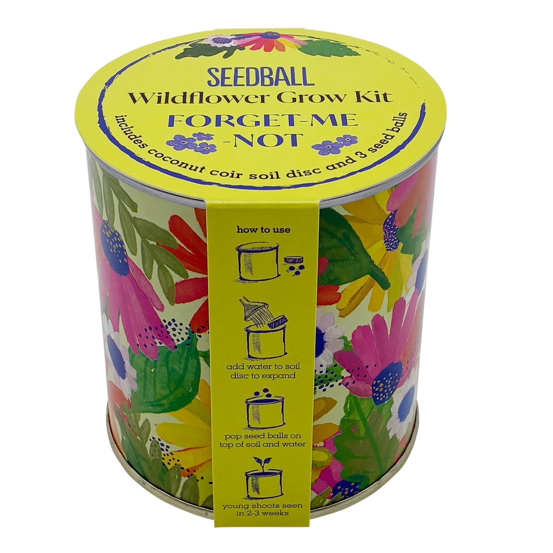 Forget-me-not Grow Kit