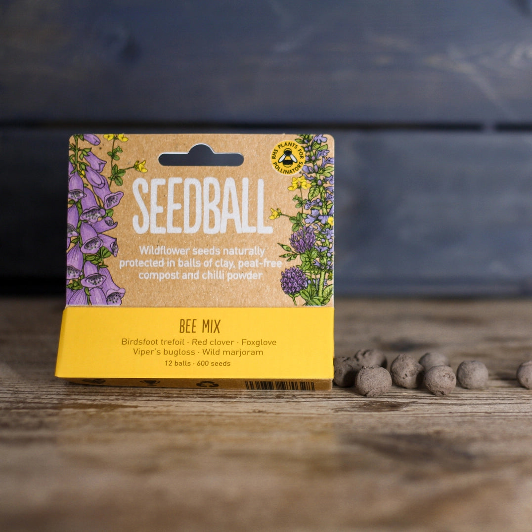 Seedball Meadow Pots - Bee Mix
