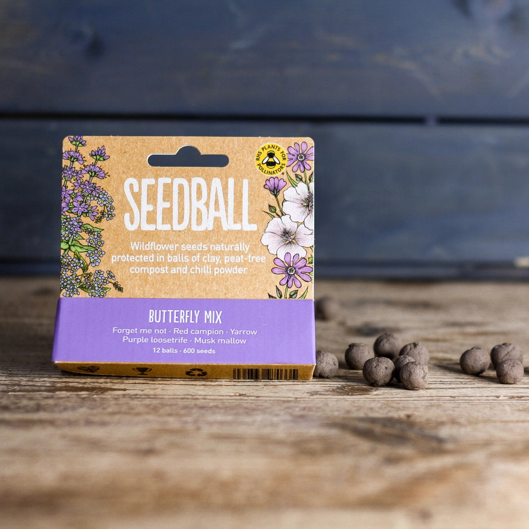 Seedball Meadow Pots - Butterfly Mix