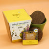 Seedball Meadow Pots - Bee Mix