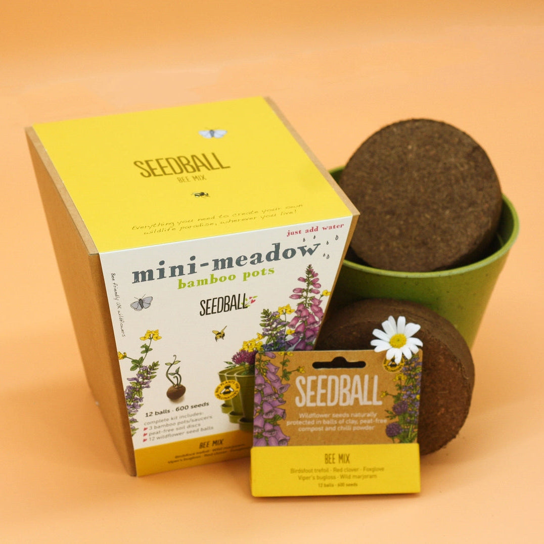 Seedball Meadow Pots - Bee Mix