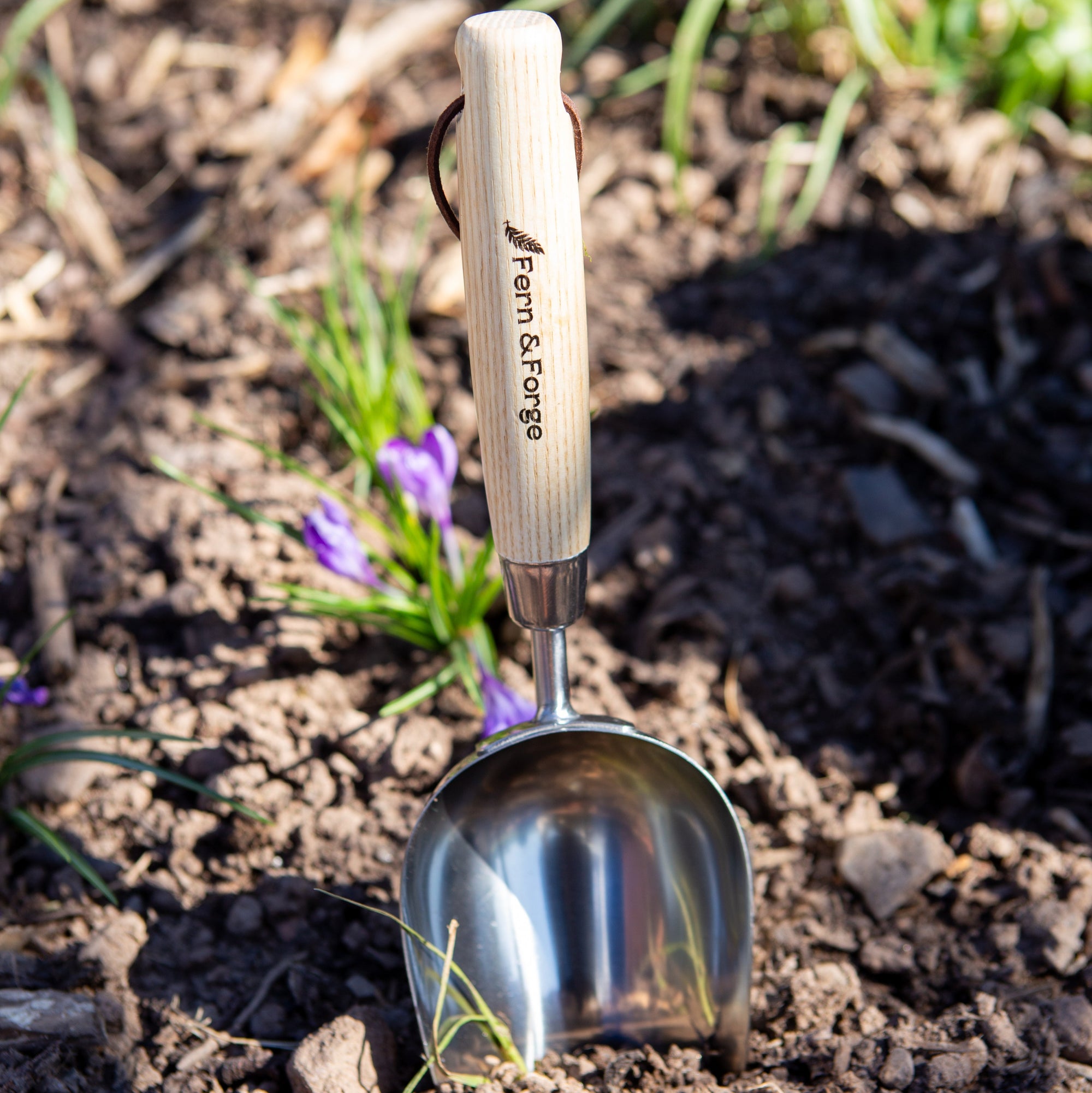 Fern & Forge Garden Tool Set – Special Offer