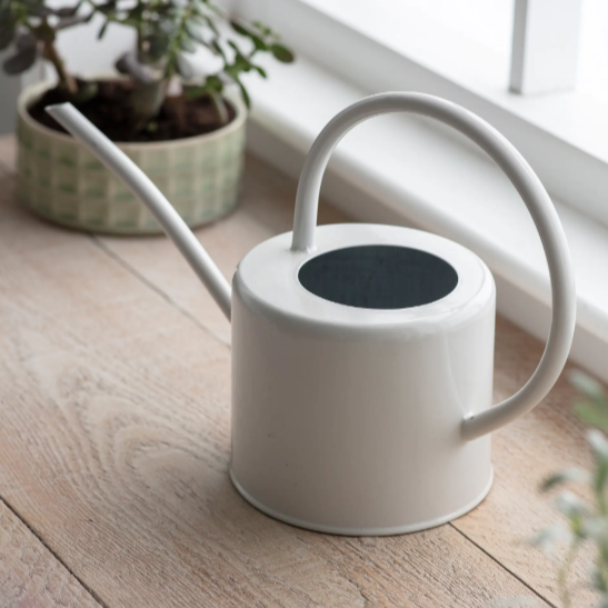 Indoor Watering Can
