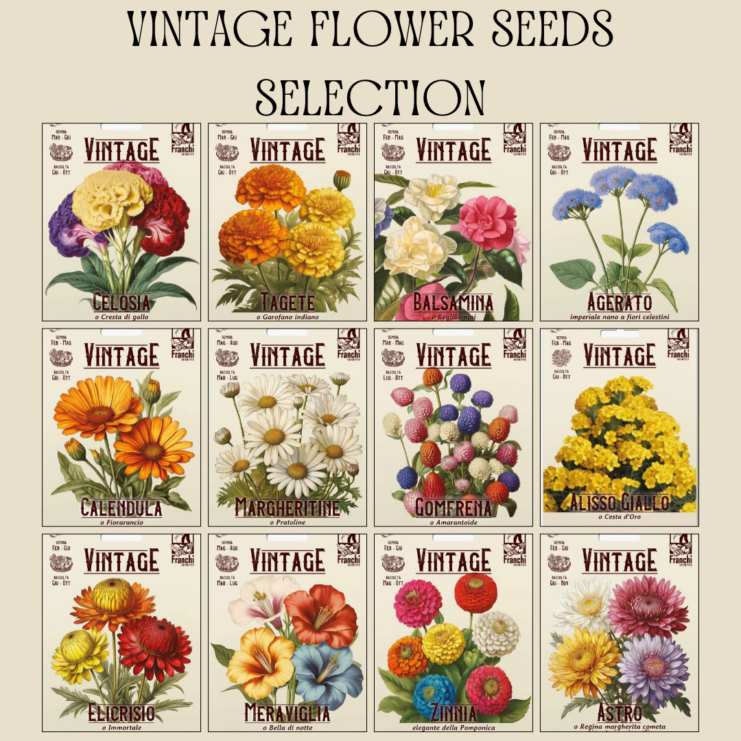 Vintage Franchi Seeds