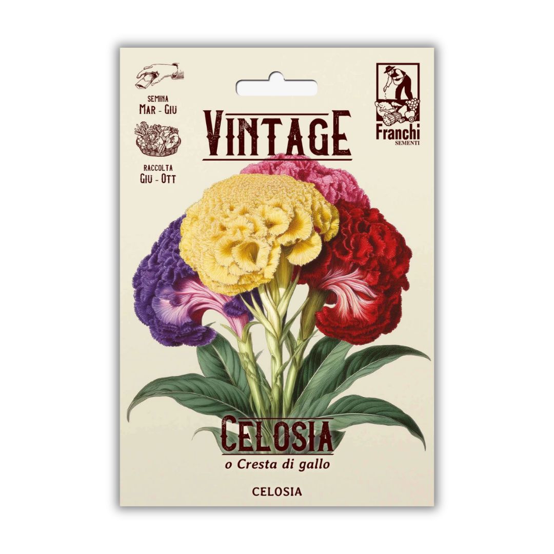Vintage Franchi Seeds