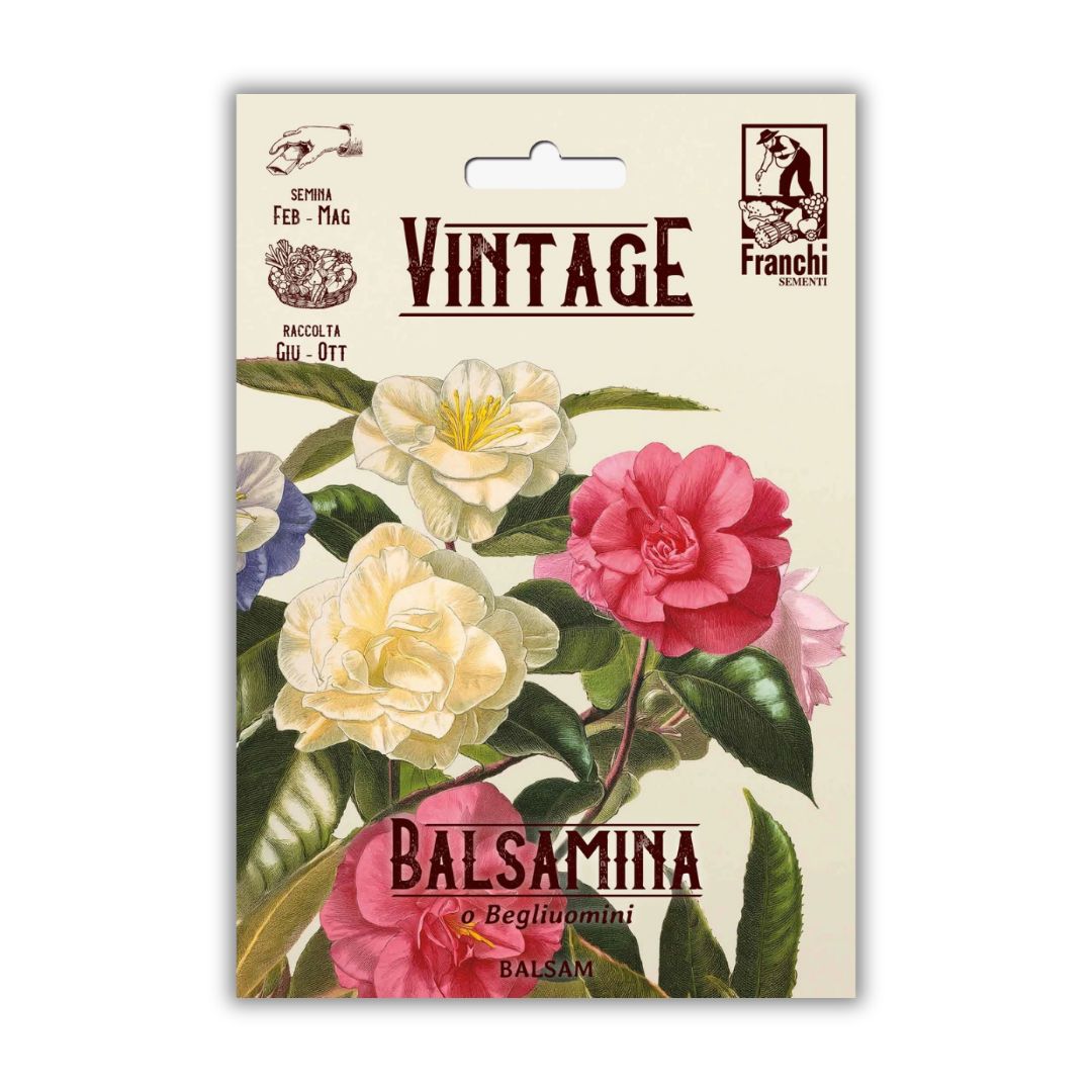 Vintage Franchi Seeds