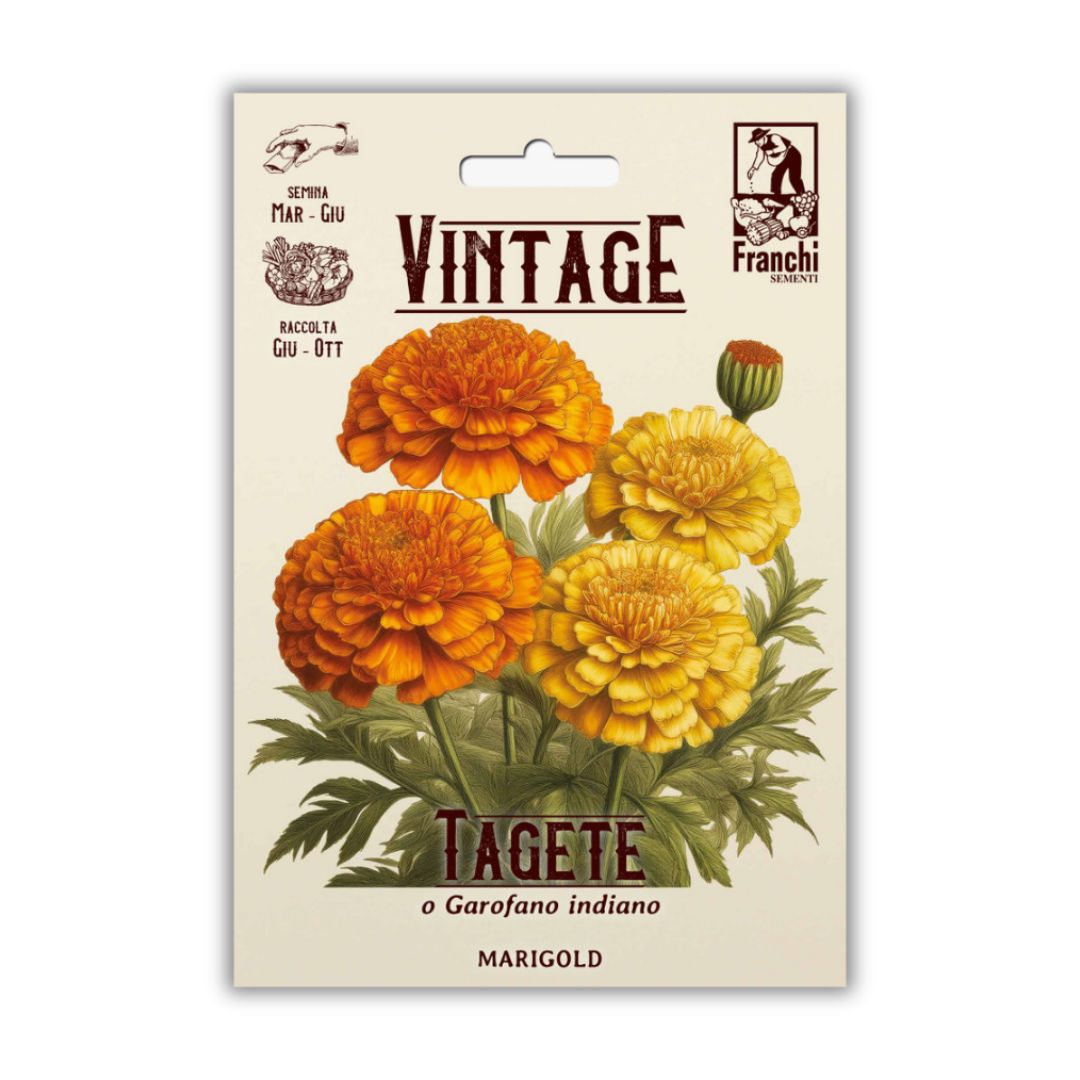 Vintage Franchi Seeds