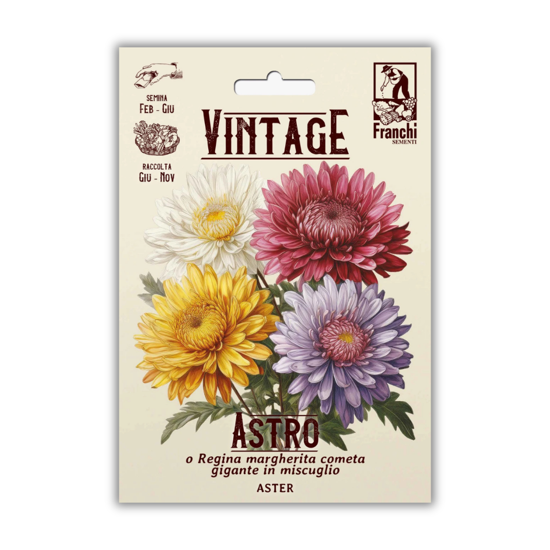 Vintage Franchi Seeds