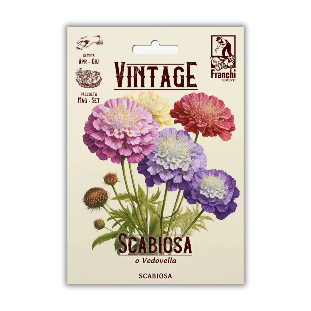 Vintage Franchi Seeds