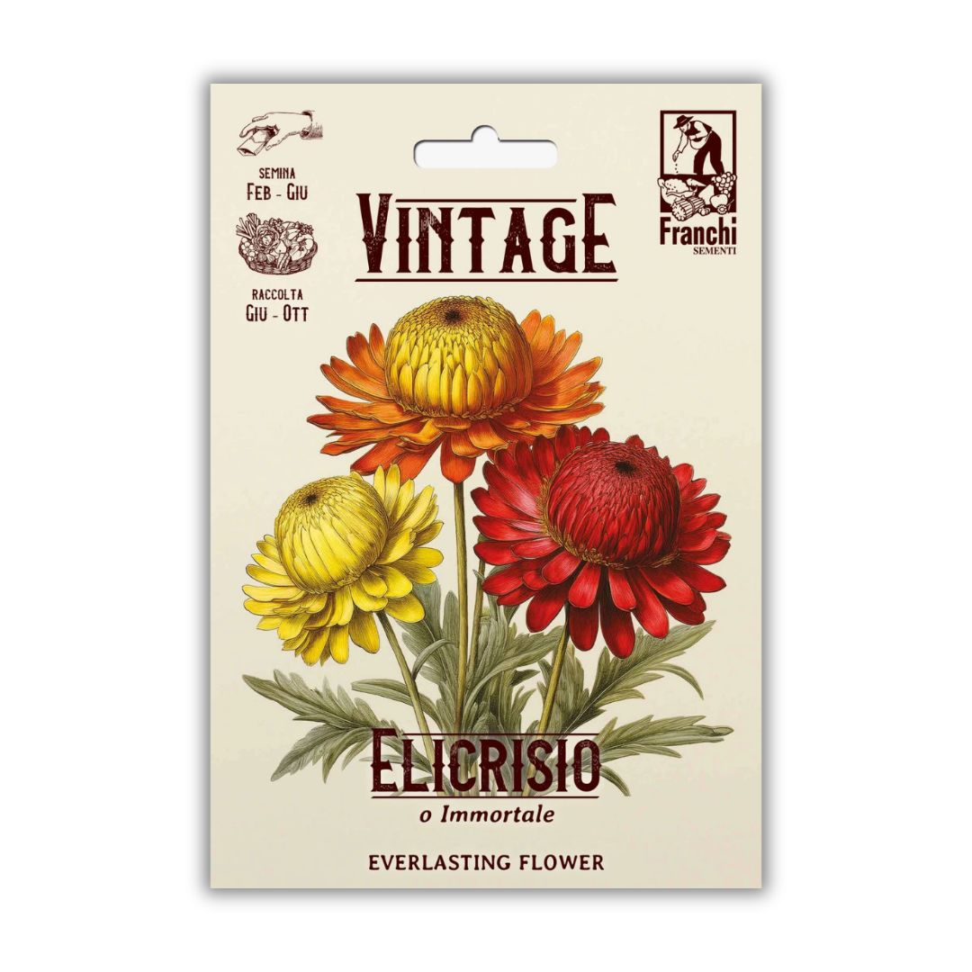 Vintage Franchi Seeds