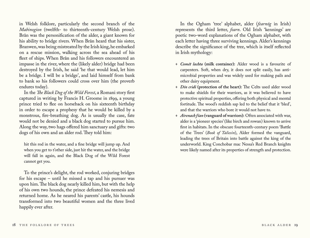 Folklore of Trees