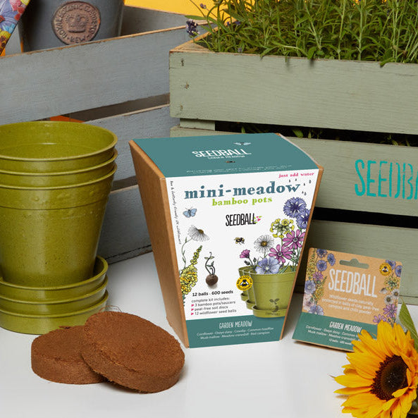 Seedball Meadow Pots - Garden Meadow