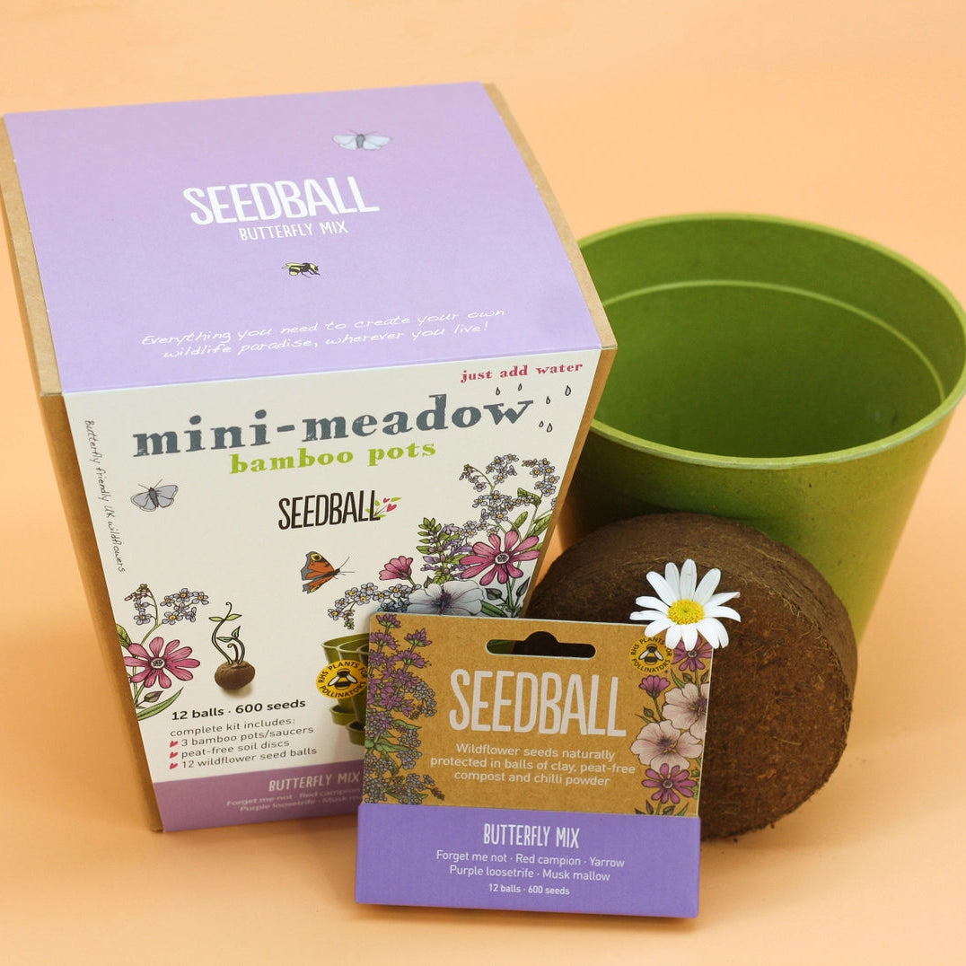 Seedball Meadow Pots - Butterfly Mix