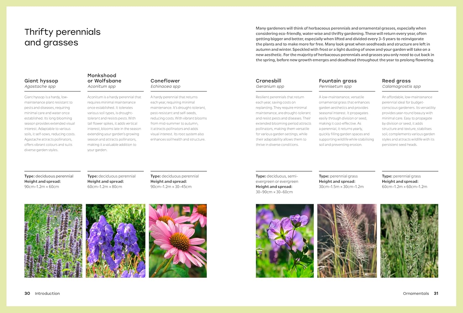 The Thrifty Gardener
