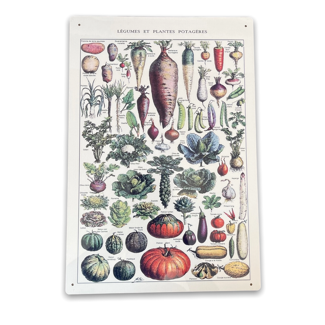 Vintage Botanical Kitchen Vegetables Metal Sign