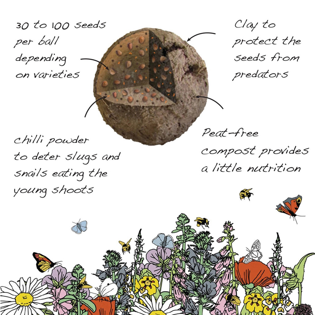 Seedball Meadow Pots - Butterfly Mix