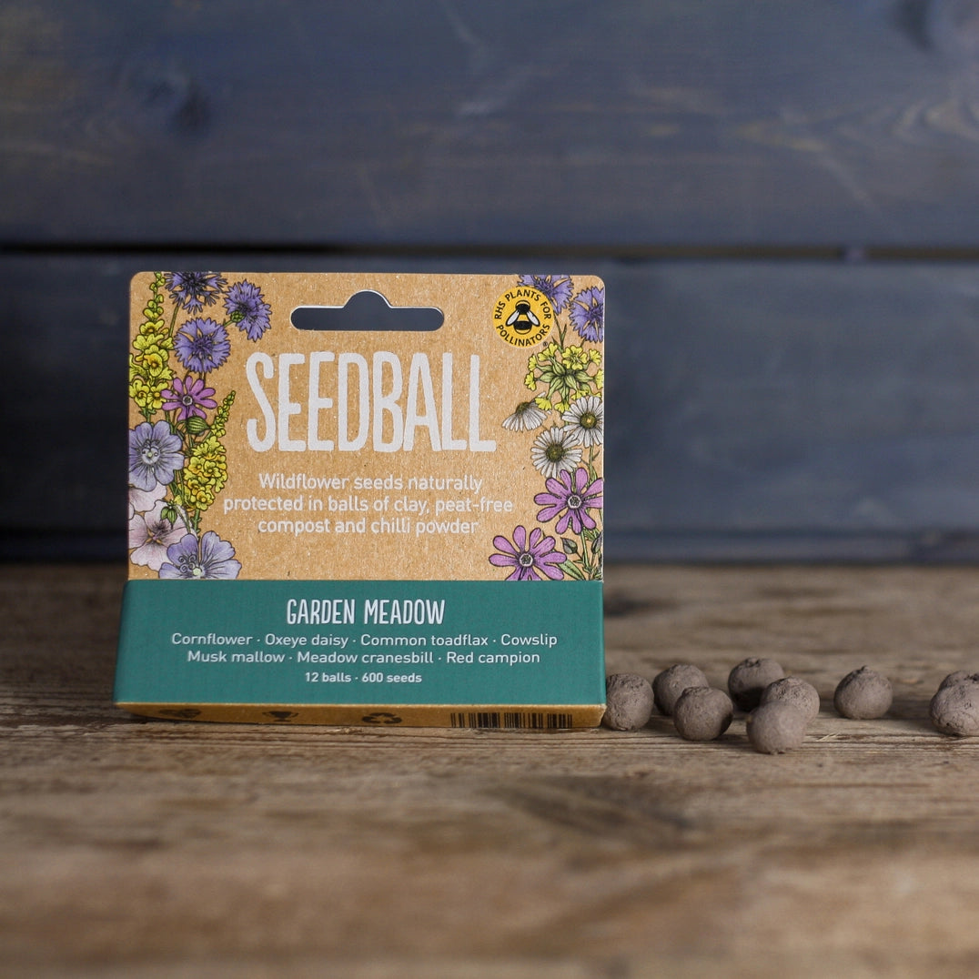 Seedball Meadow Pots - Garden Meadow