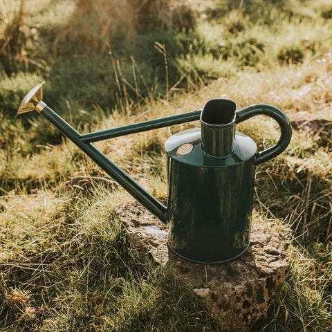 Metal 2 Gallon Watering Can by HAWS