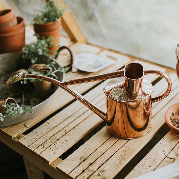 Haws® Indoor Vintage Watering Can - 2-Pint