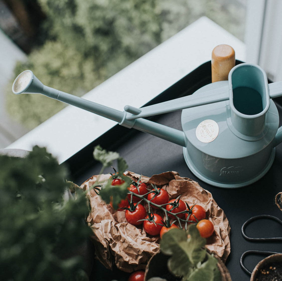 Haws® Indoor outdoor precision One Pint Watering Can-made in the UK - Nutscene