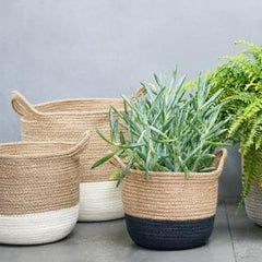 Sustainable Jute Indoor Plant Basket - 28cm Lined - Nutscene