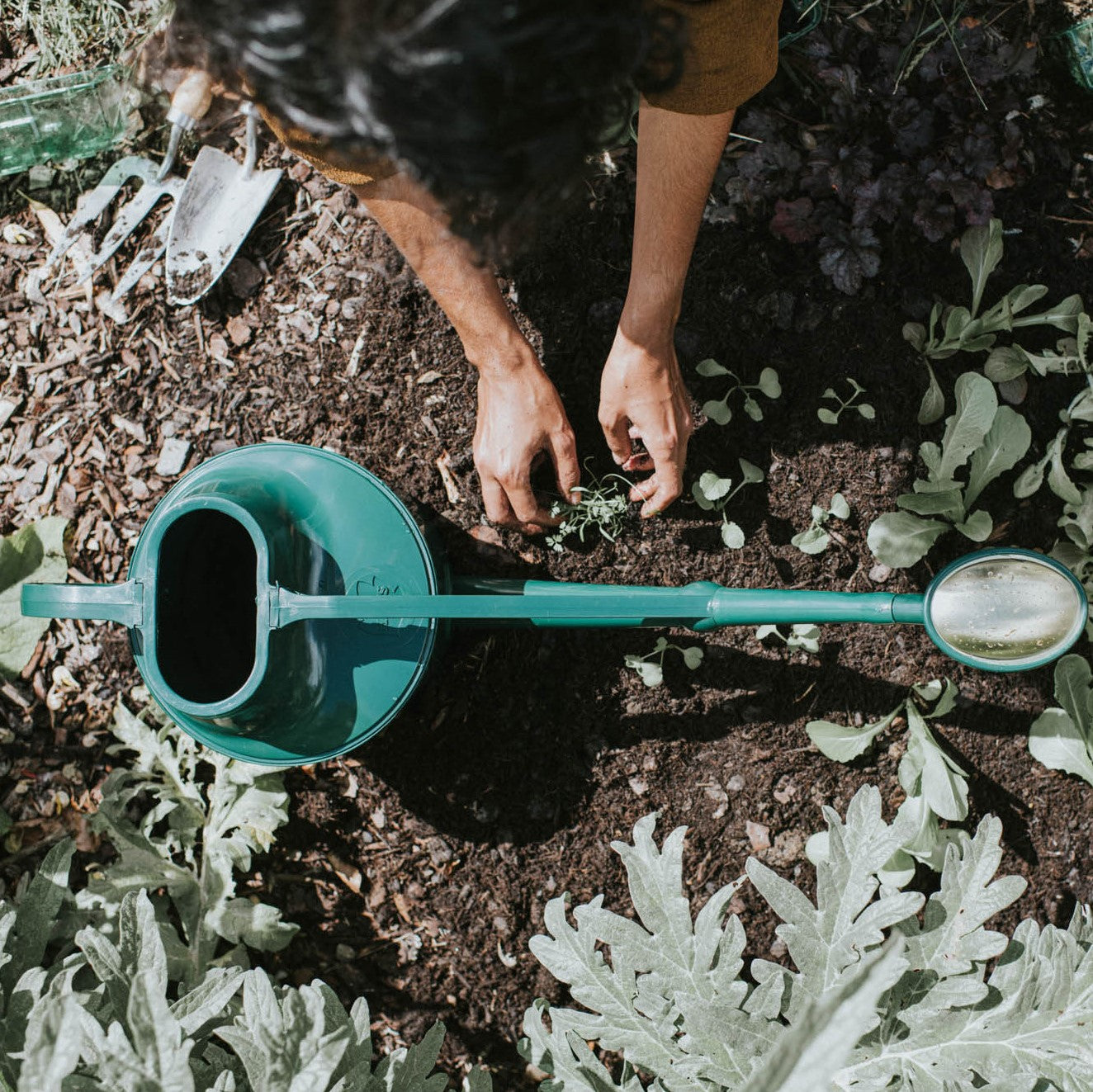 haws watering cans at Nutscene