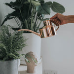 Haws Copper one pint indoor watering can - Nutscene
