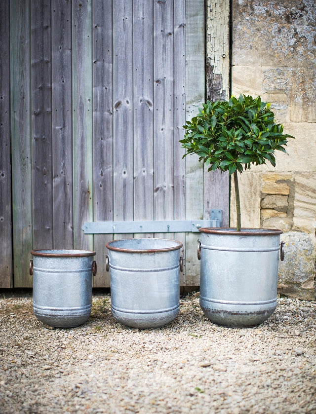 Vintage Style Large Garden Planters-Set of 3 - Nutscene