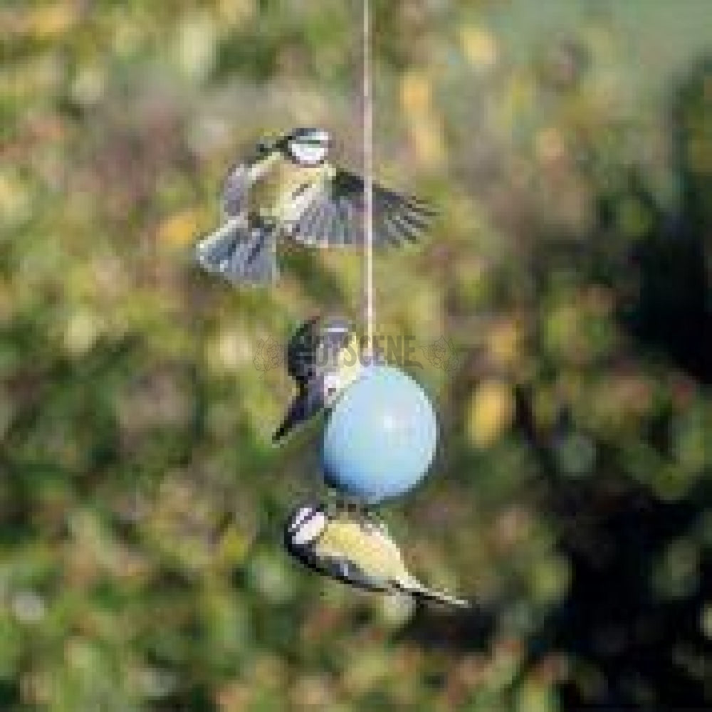 Bird Care Kit - Made From Recycled Yoghurt Pots