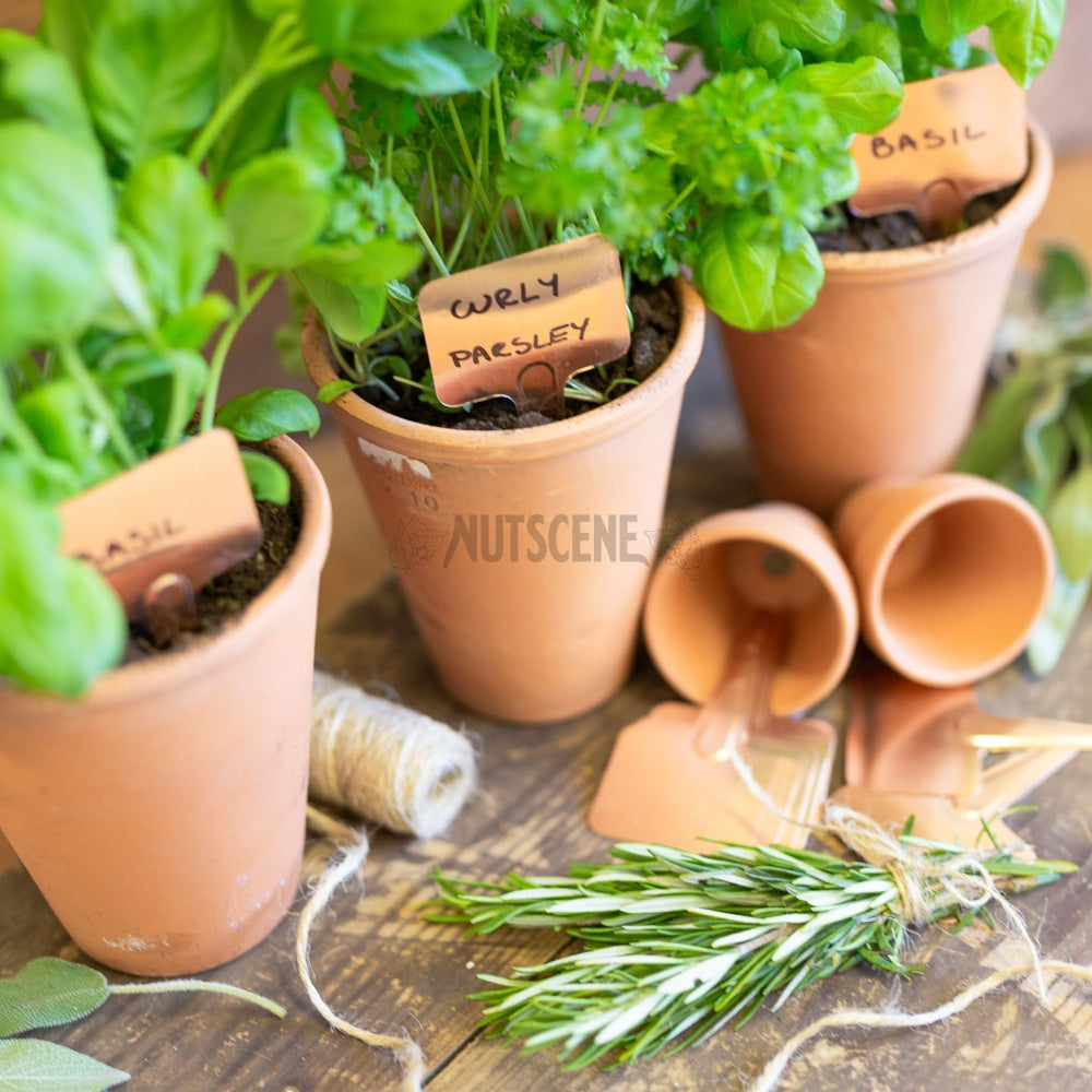 Copper Plant Labels Nutscene® Traditional