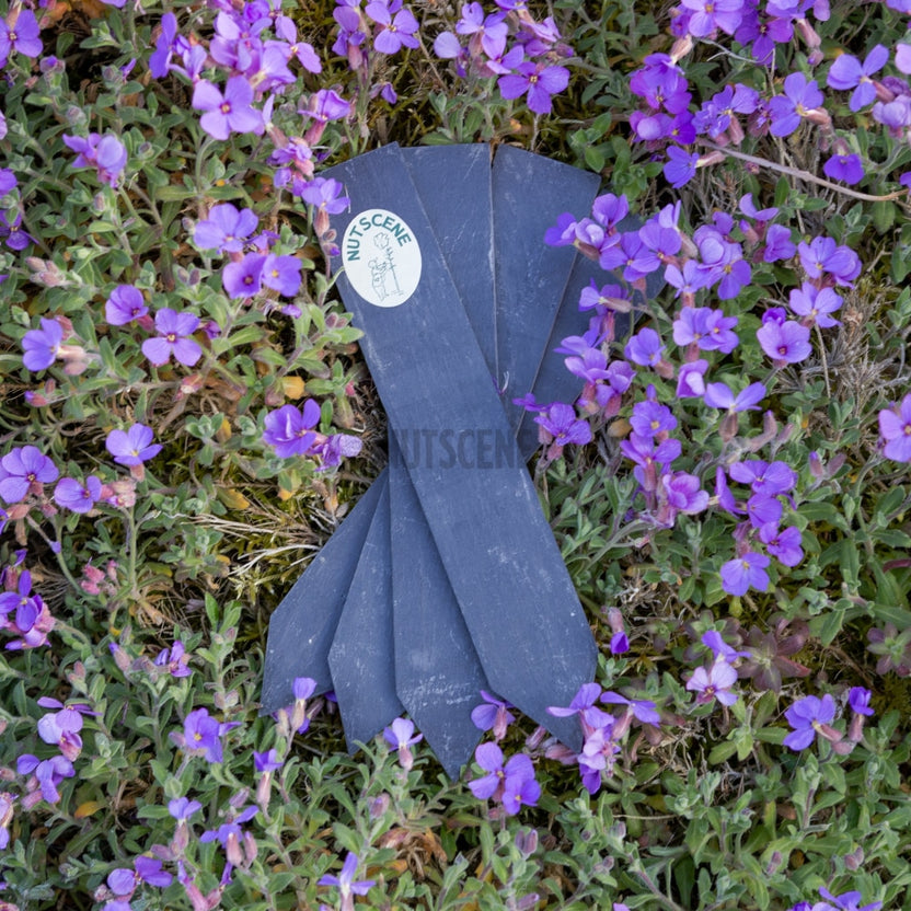 Nutscene® Slate Plant Labels